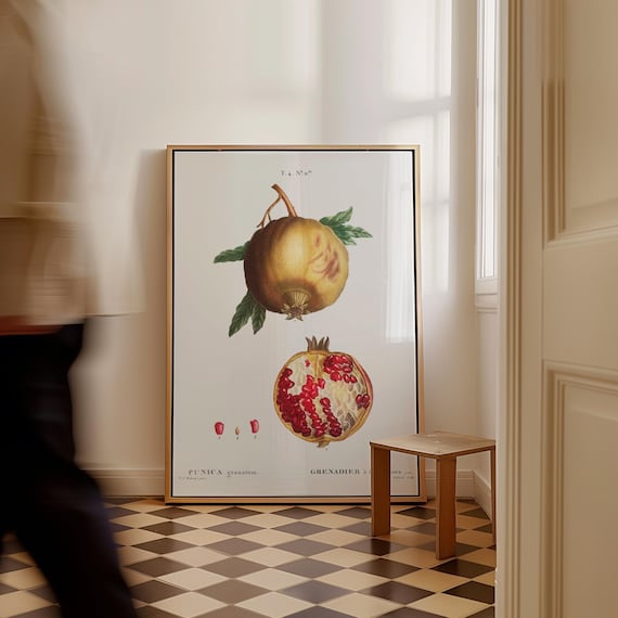 Punica Granatum Pomegranate Antique Botanical Fruit Plate Poster
