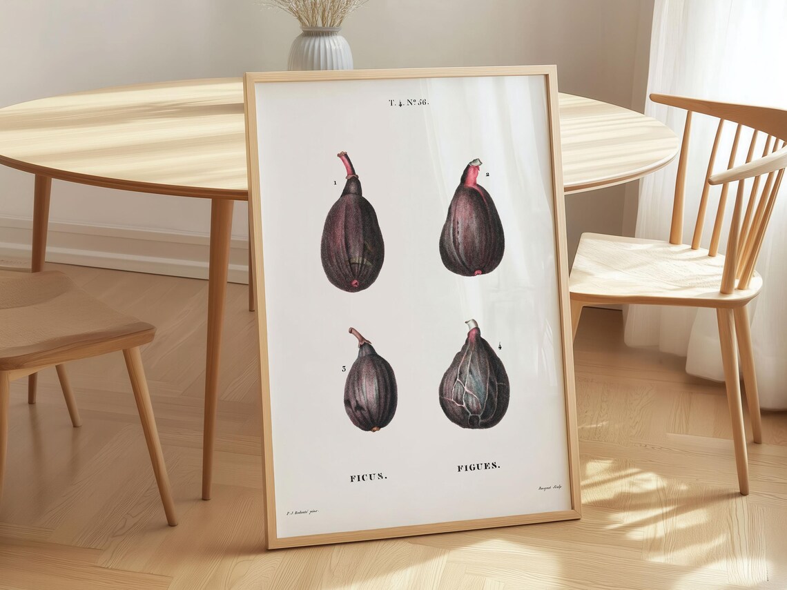 Pierrejoseph Redout Fig Art Print Vintage Botanical Canvas