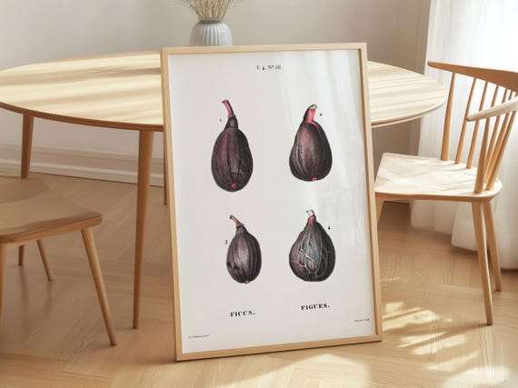 Pierrejoseph Redout Fig Art Print Vintage Botanical Canvas