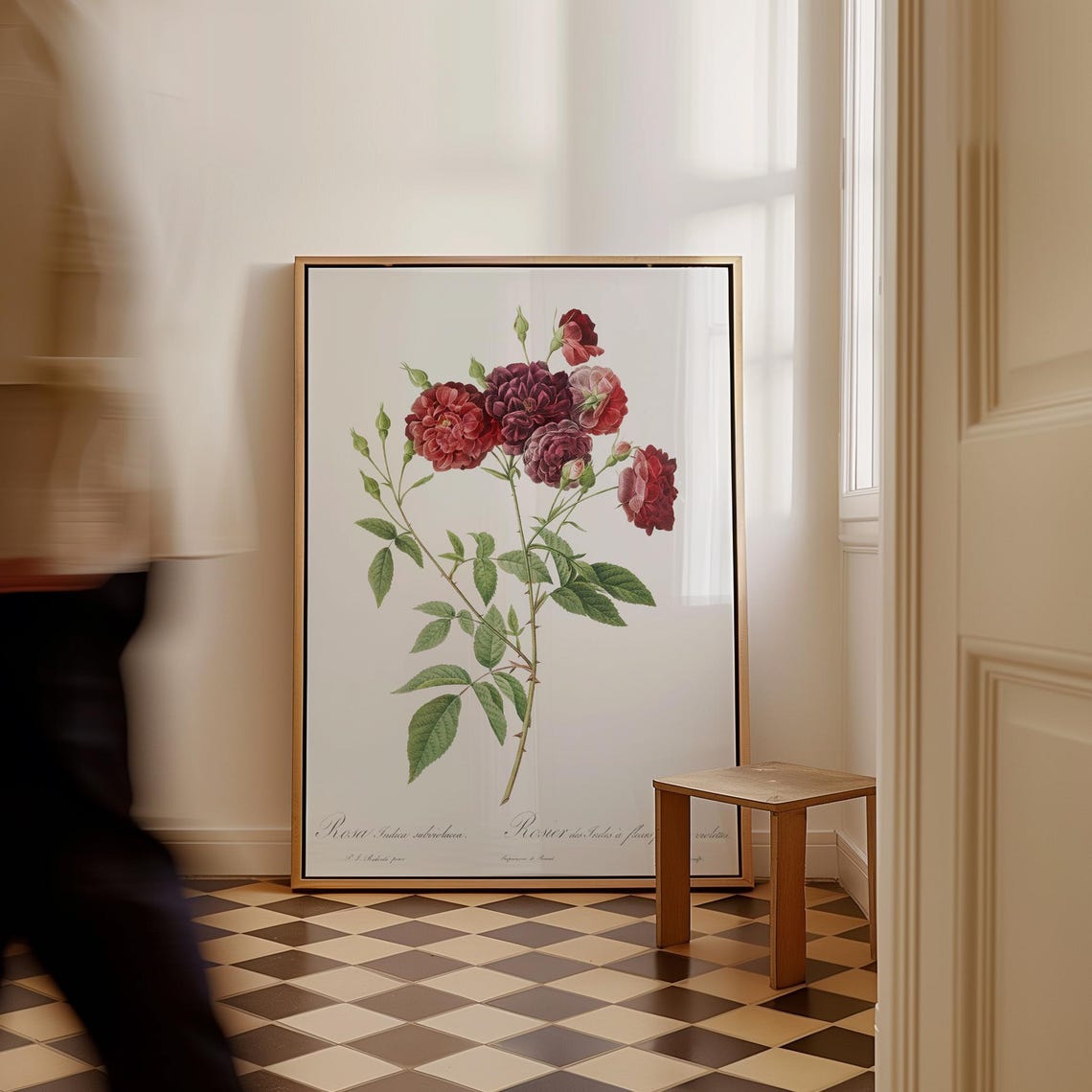 Rosa Indica Red Roses Antique Botanical Floral Illustration Poster