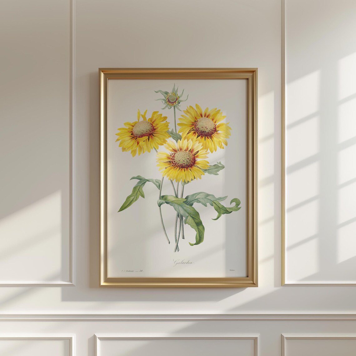 Vintage Blanket Flower Art Print Botanical Wall Decor