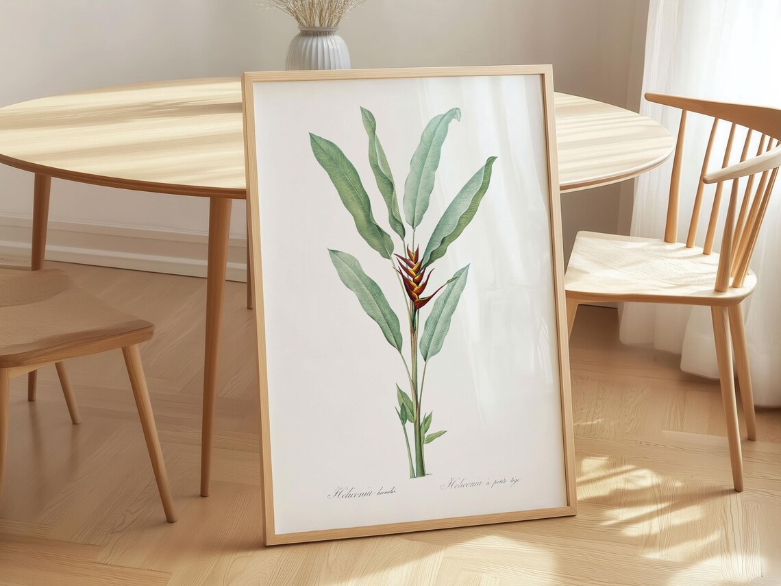 Redoute Parrot Heliconia Art Print Vintage Botanical Canvas
