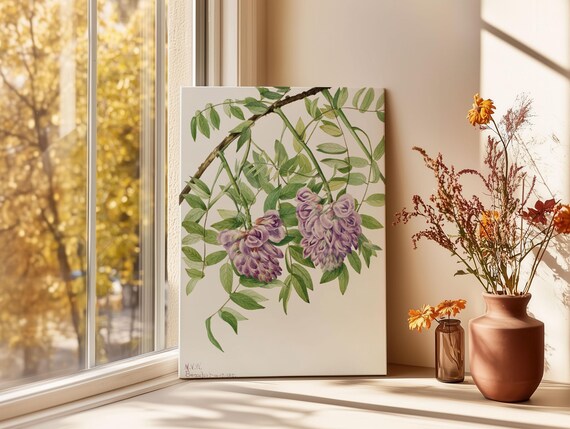Purple Wisteria Blossoms Vintage Botanical Watercolor Poster