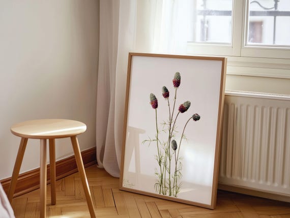 Mary Vaux Walcott Art Print Purple Prairieclover Vintage Botanical Wall