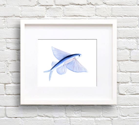 Flying Fish Art Print Wall Decor Watercolor Painting