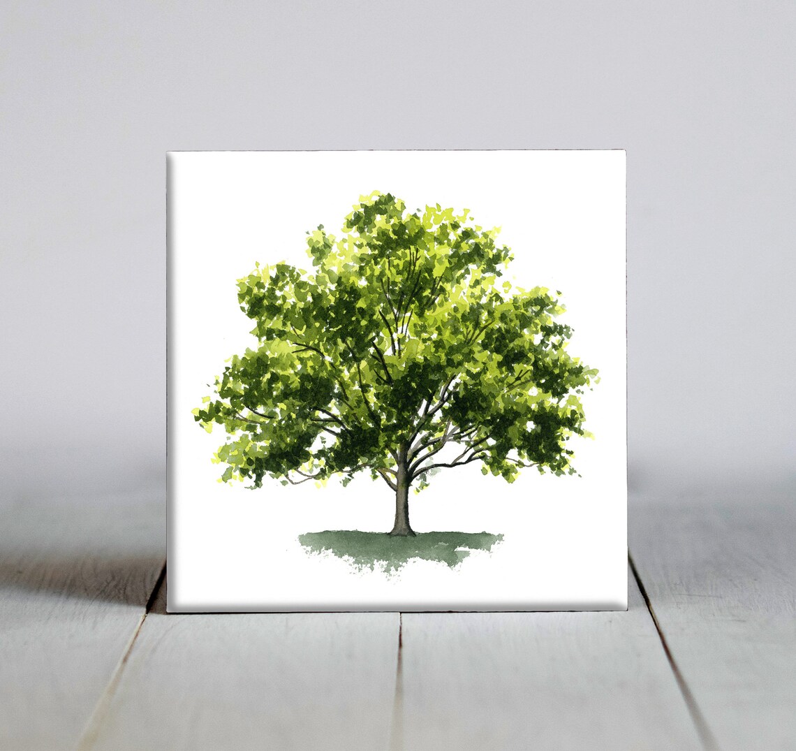 Sycamore Tree Leaf Decorative Art Print, Nature Gift