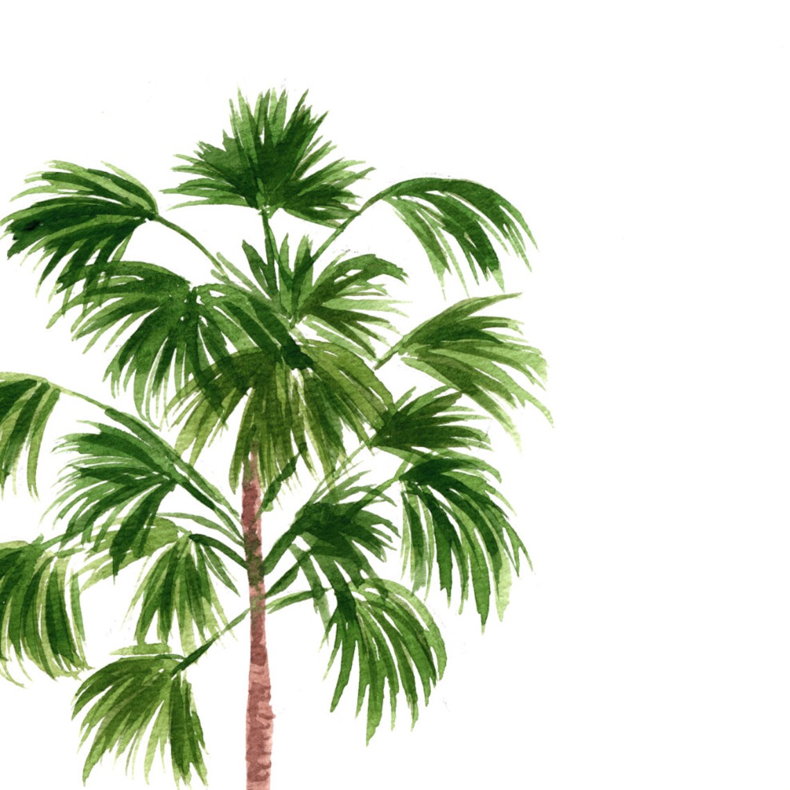 Windmill Palm Tree Watercolor Botanical Art Print - Image 2
