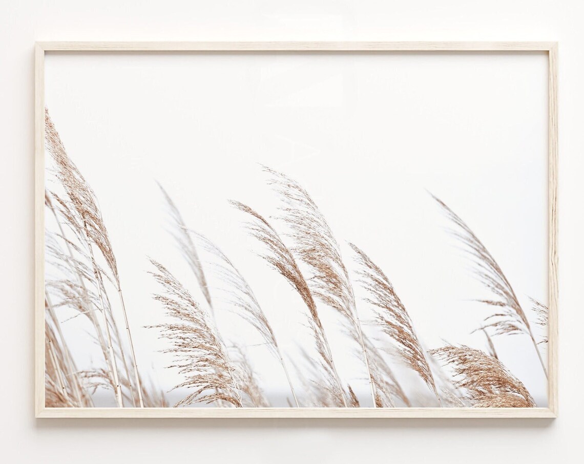 Pampas Grass Decor Print, Coastal Style Poster