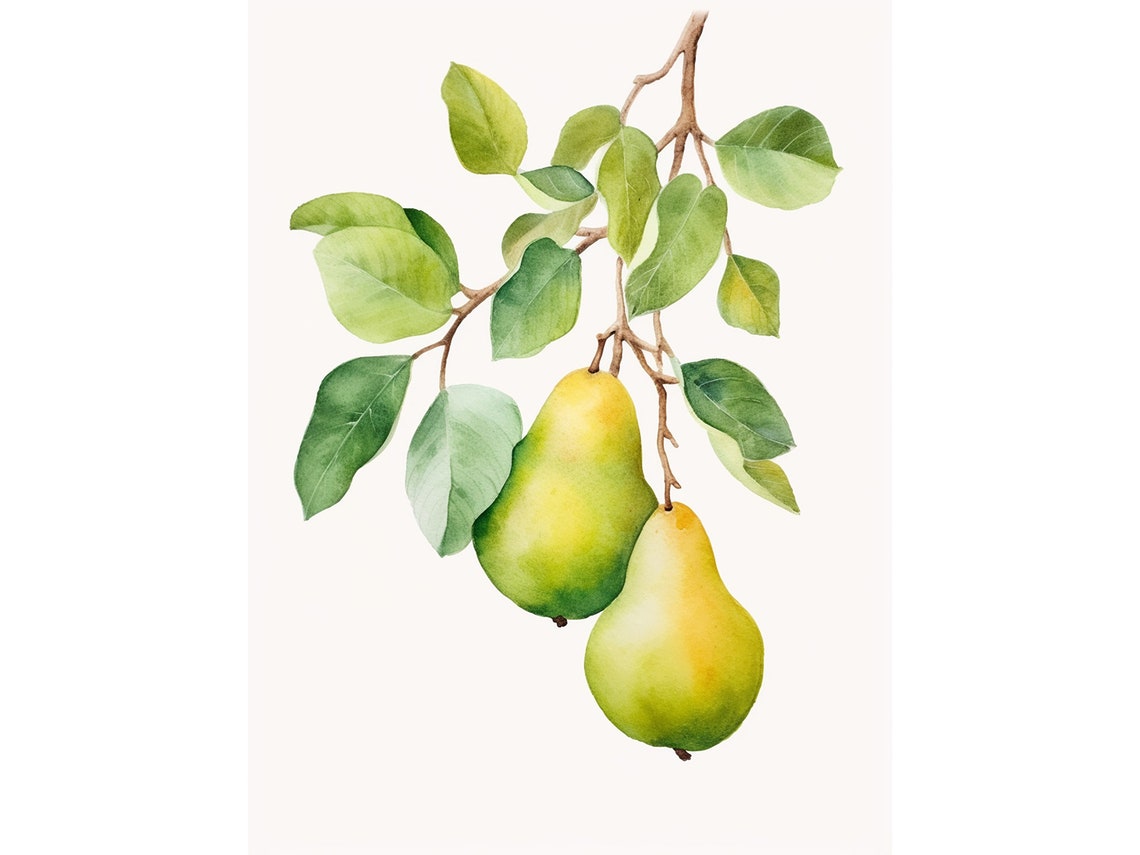 Pear Branch Botanical Watercolor Kitchen Fruit Orchard Poster