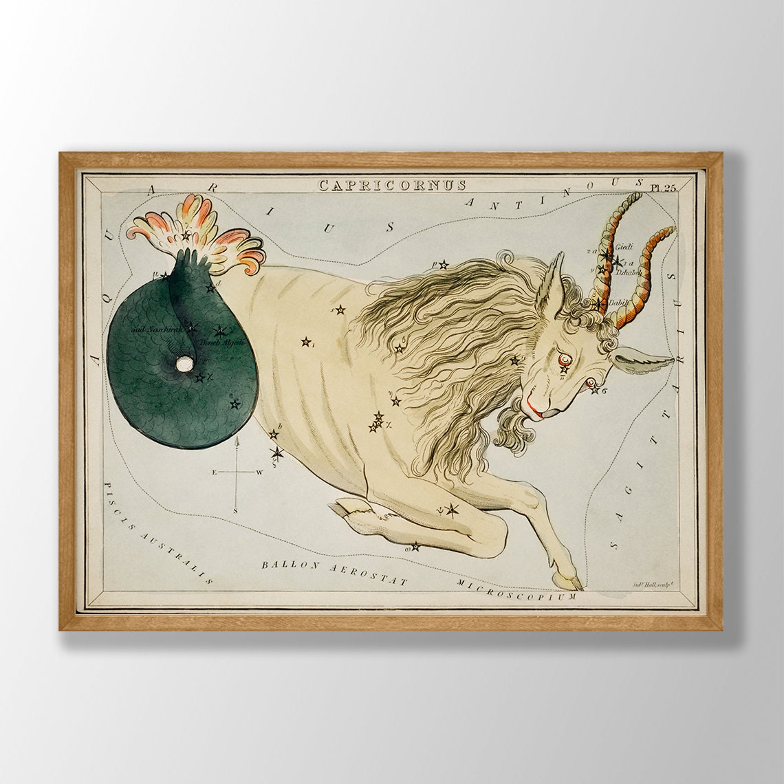 Capricorn Zodiac Constellation Antique Star Chart Astrology Poster