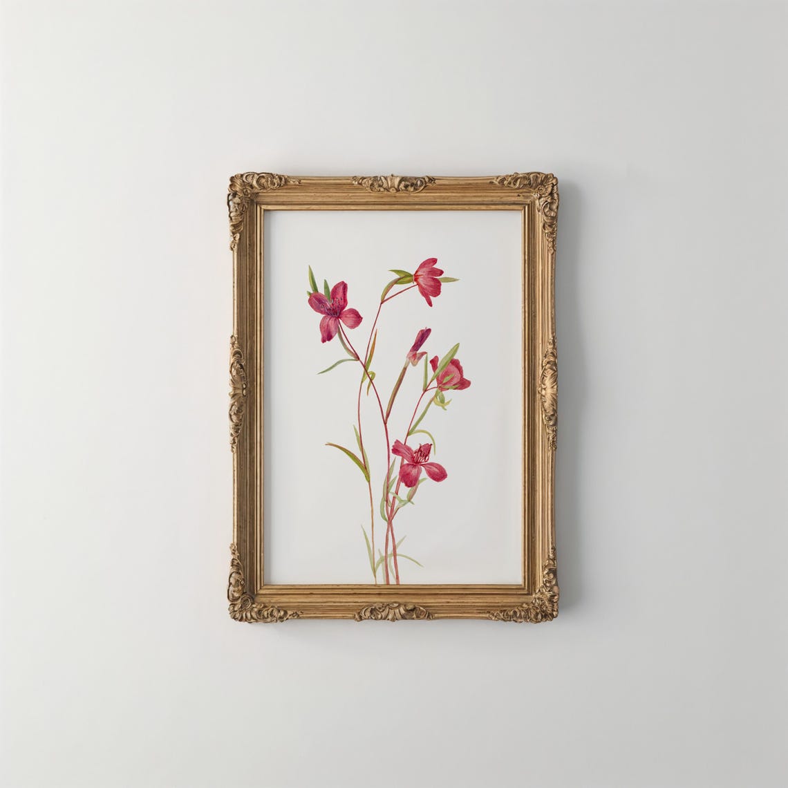Mary Vaux Walcott Crossvine Red Trumpet Flowers Botanical Print