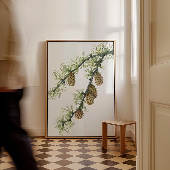 Mary Vaux Walcott Western Larch Art Print Vintage Botanical Canvas