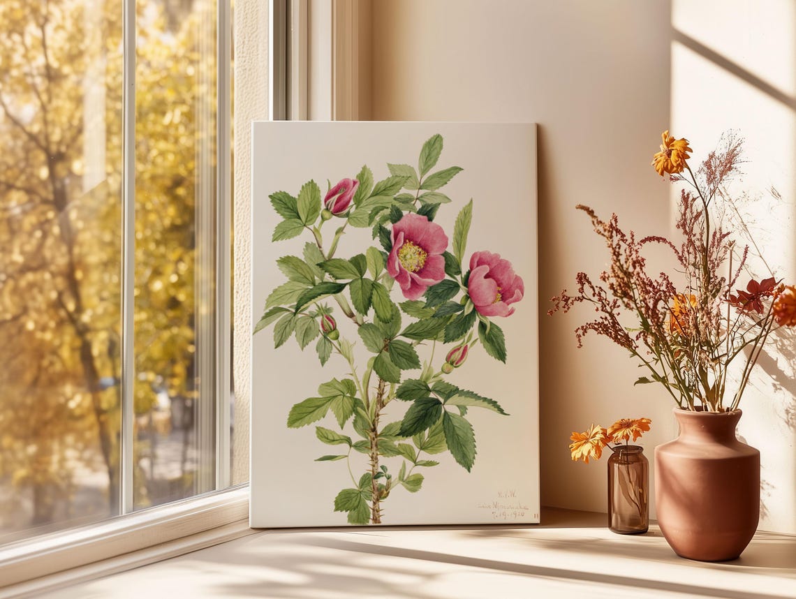 Mary Vaux Walcott Bourgeau Rose Pink Wild Rose Botanical Poster