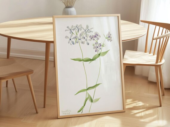 Blue Phlox Vintage Botanical Watercolor Flower Painting Poster