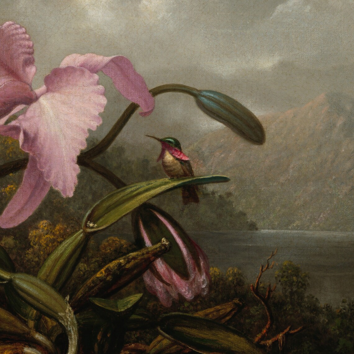Orchid and Hummingbird by Martin Johnson Heade, Art Print - Image 2
