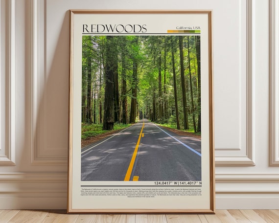 California Redwoods Ancient Forest Road Towering Trees Scenic Poster