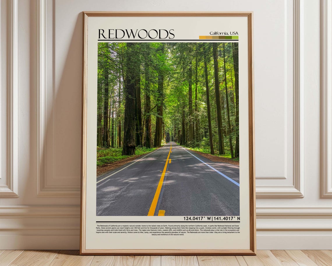 California Redwoods Ancient Forest Road Towering Trees Scenic Poster