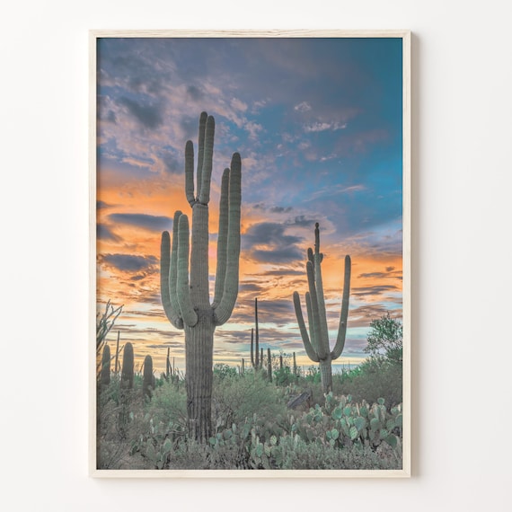 Saguaro National Park Desert Cactus Sunset Sky Photography Poster