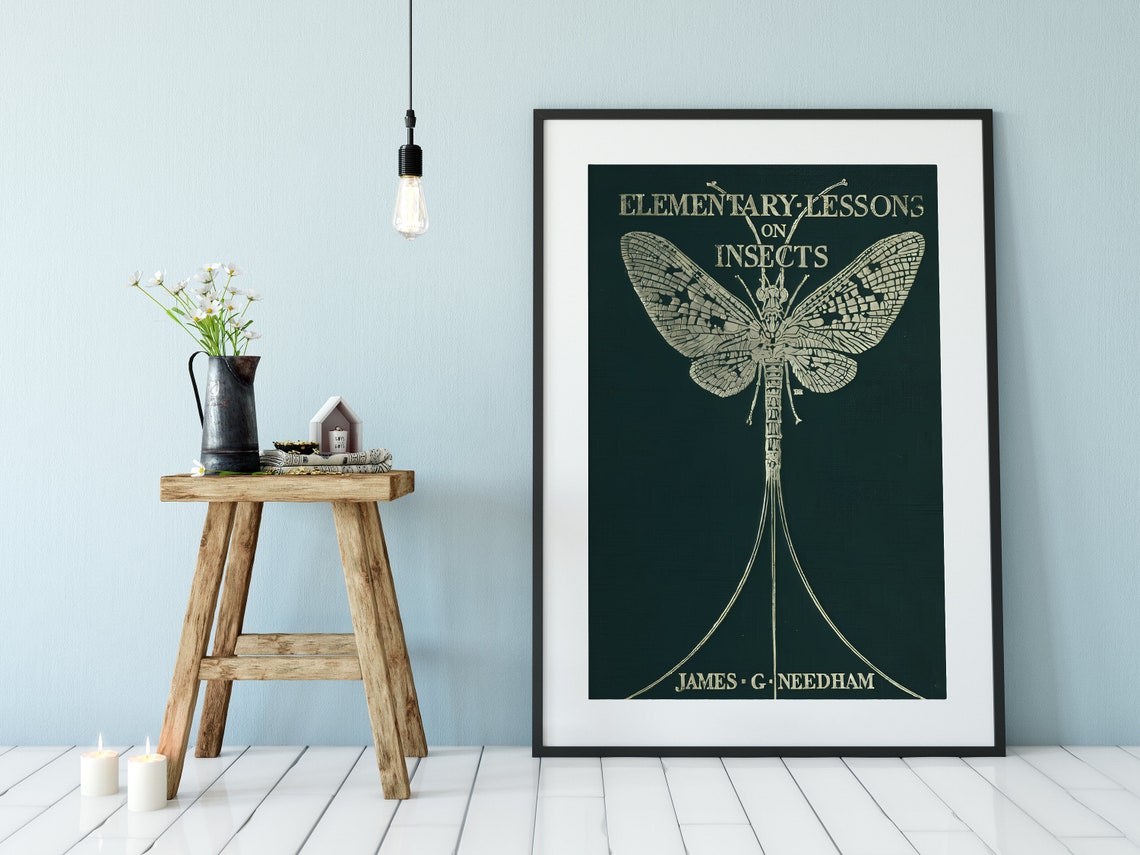 Dragonfly Art Nouveau Vintage Poster Print