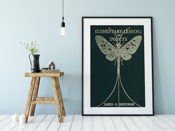 Dragonfly Art Nouveau Vintage Poster Print