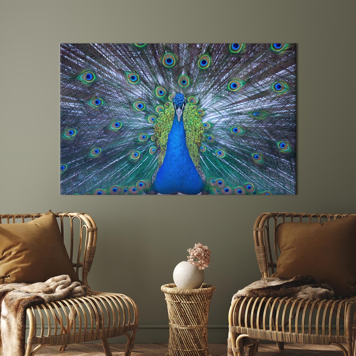 Peacock Full Tail Display Photography Vibrant Blue Green Bird Art Print