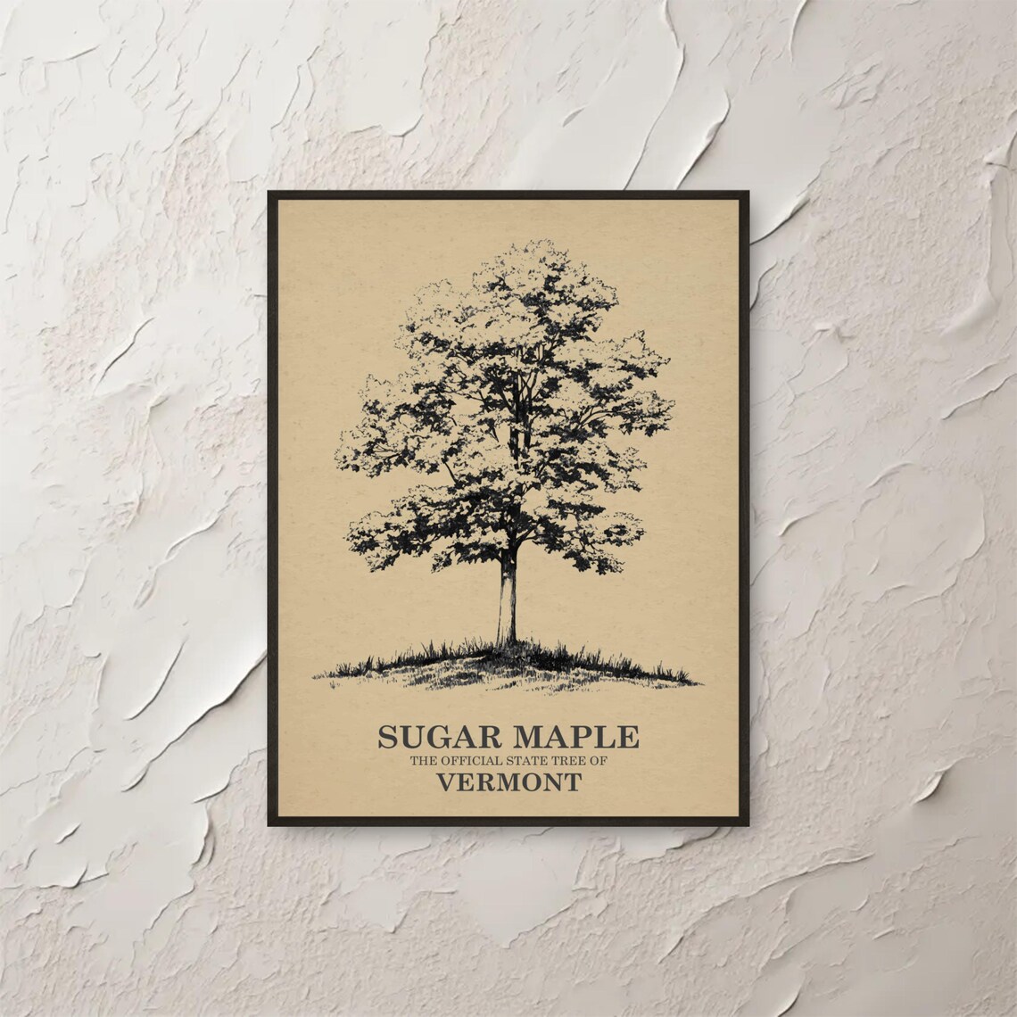 Sugar Maple Tree Wall Art Vermont State Print Nature Botanical Illustration Minimalist Decor Of