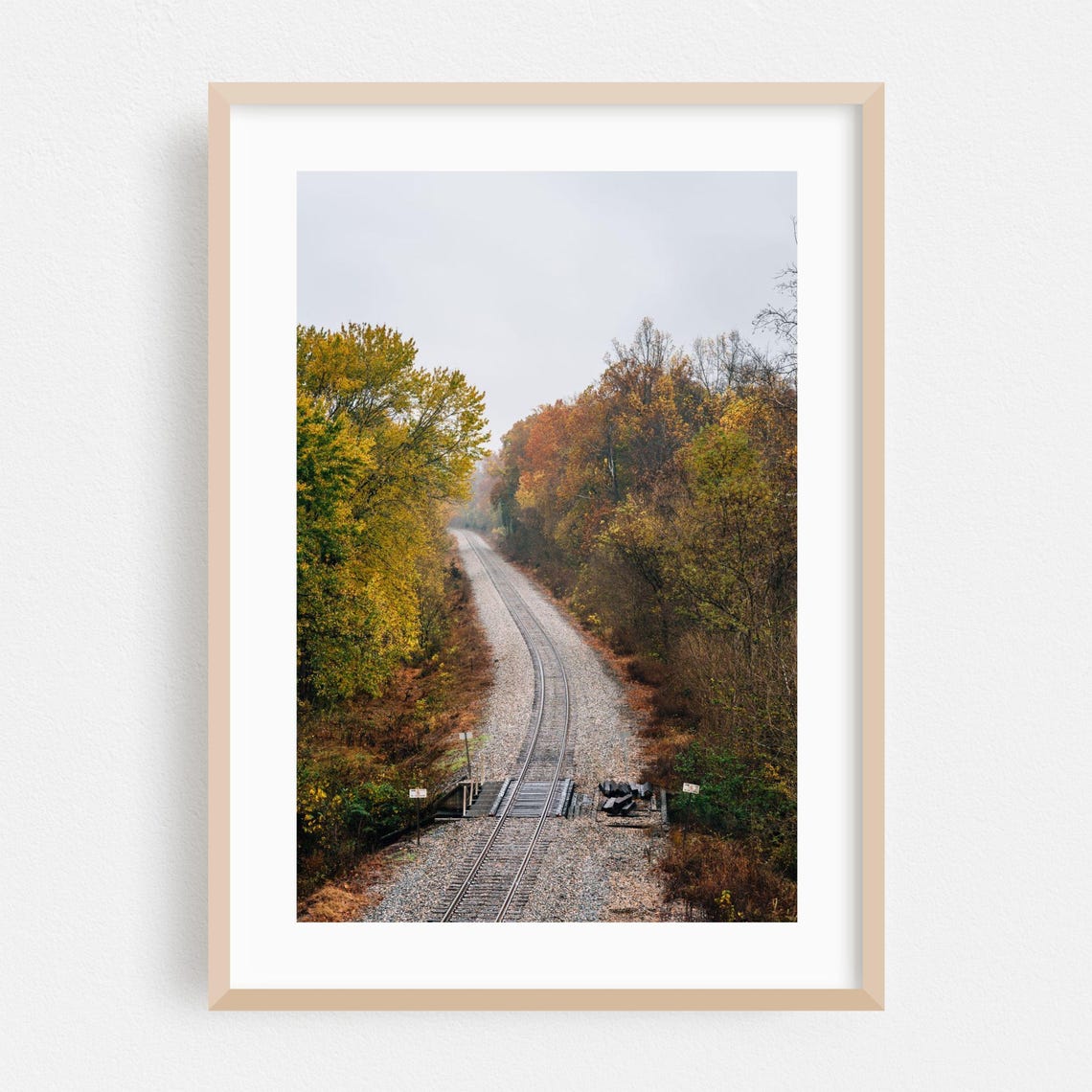 Virginia Autumn Railroad Tracks Fall Forest Misty Photo Poster
