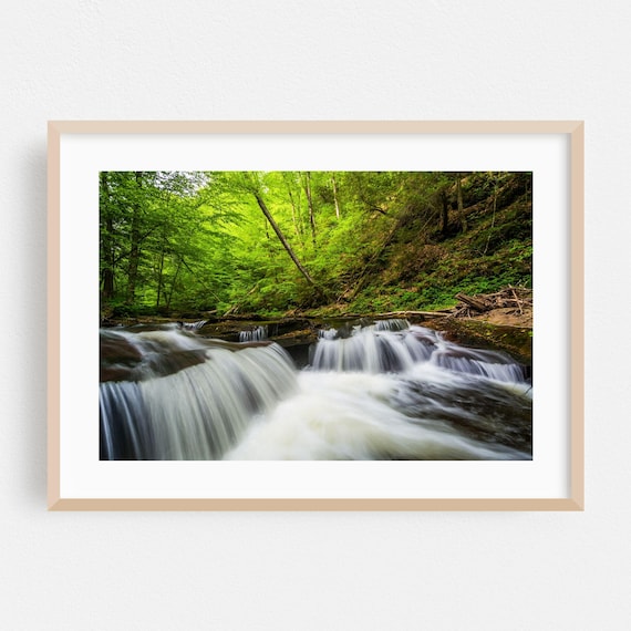 Pennsylvania Forest Waterfall Lush Green Cascading Streams Poster