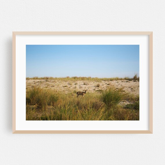 Fire Island Print New York Wall Art Deer Framed Wildlife Home Decor Nature Poster Wilderness Fine Scenic Landscape Pastoral
