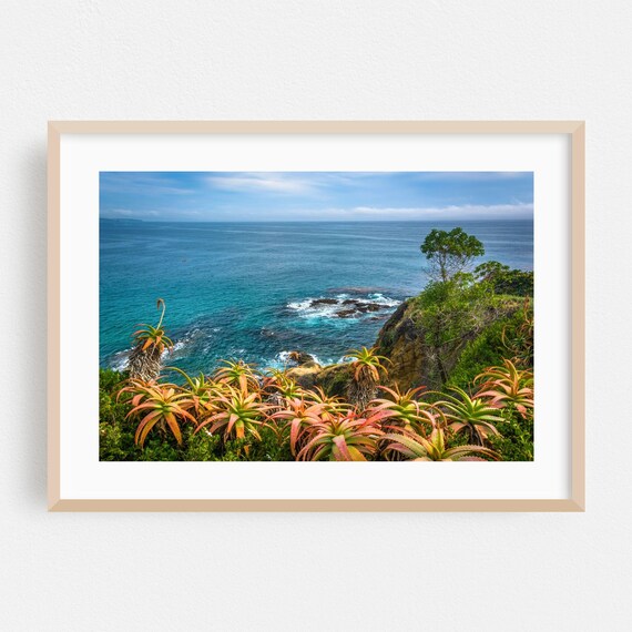 Laguna Beach Ocean Cliff Agave Plants Coastal Photography Print