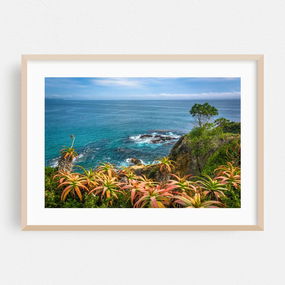 Laguna Beach Ocean Cliff Agave Plants Coastal Photography Print