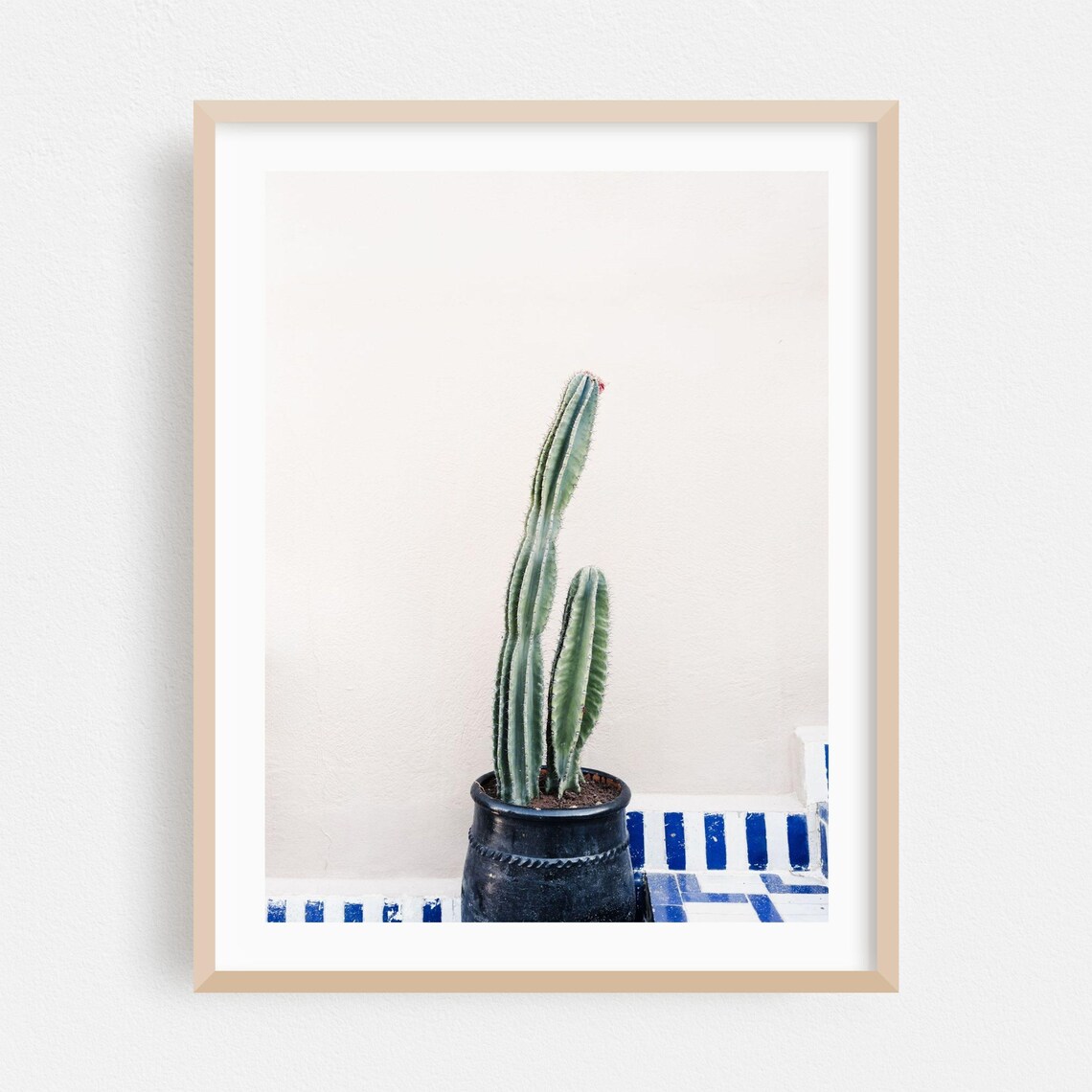 Tall Cactus in Dark Pot Blue Tiles Moroccan Style Photo Poster