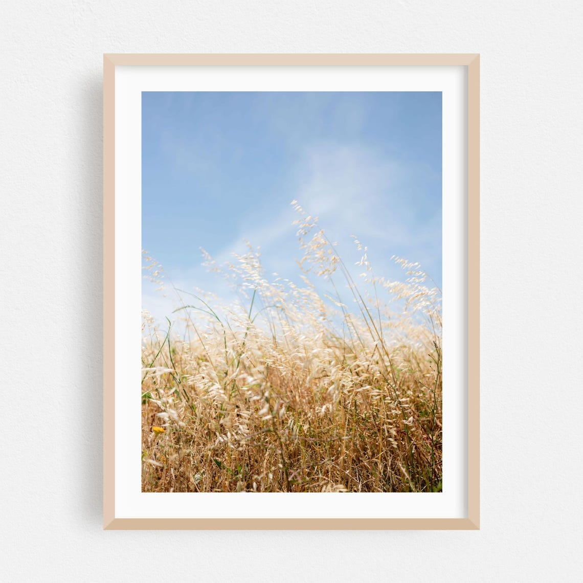 Golden Summer Meadow Grass Field Glowing Sunlight Fine Art Poster