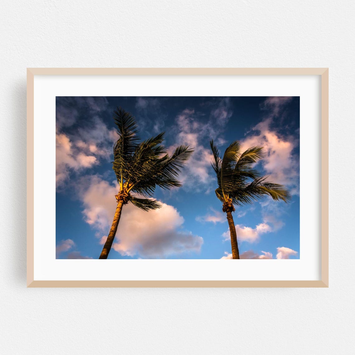 Naples Florida Palm Trees Sunset Sky Clouds Photography Poster