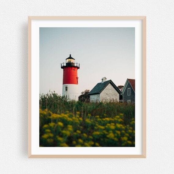 Massachusetts Lighthouse Among Wildflowers Coastal Photo Poster