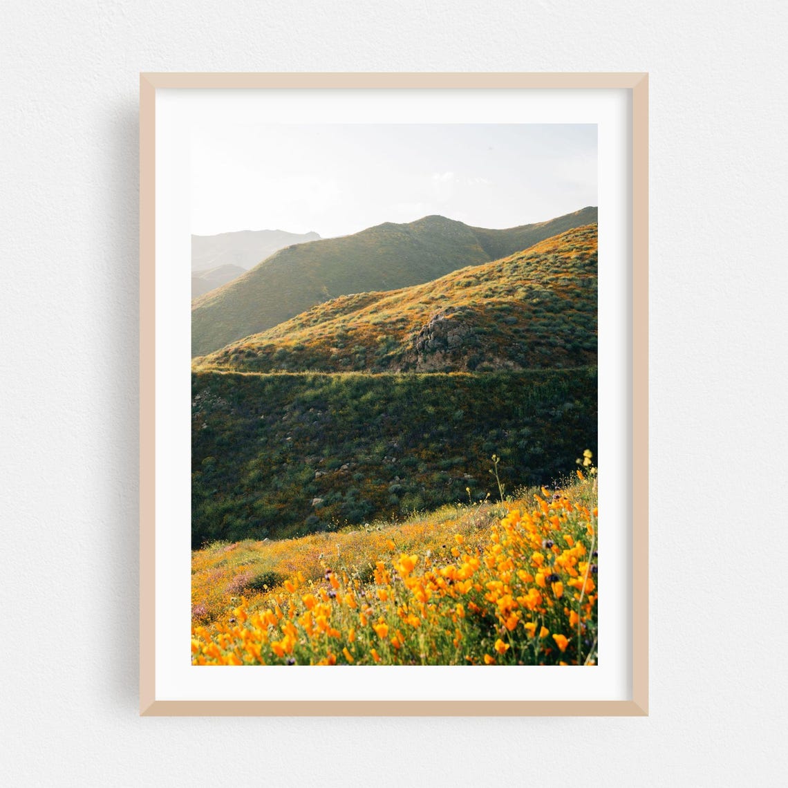 Poppy Covered Hills Distant Mountain View Photography Poster