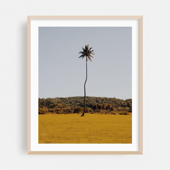 Aguadilla Print Puerto Rico Wall Art Palm Tree Framed Minimalist Home Decor Tropical Poster Nature Fine Landscape Rural