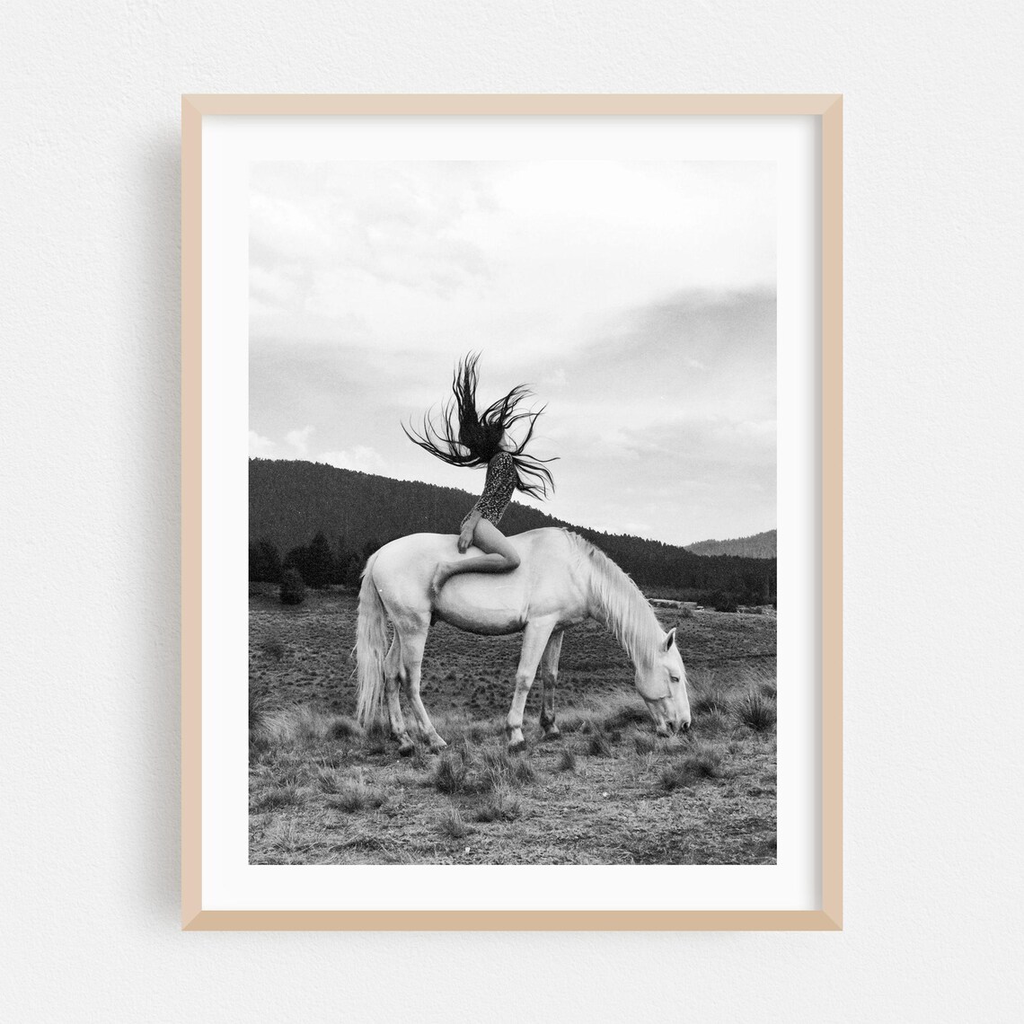 Black And White Woman On White Horse Fine Art Photography Poster
