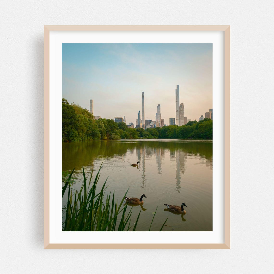Central Park Lake With Manhattan Skyline and Canada Geese Poster