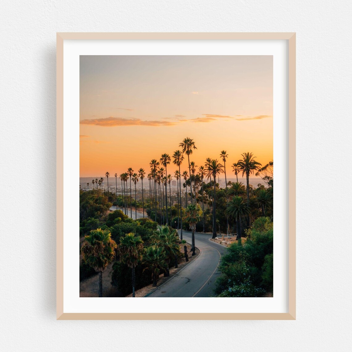 Los Angeles Palm Tree Lined Road At Sunset City Photography Poster