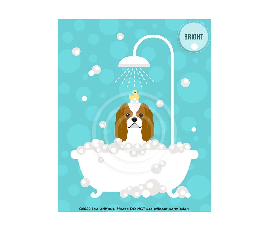 Cavalier King Charles Spaniel Bubble Bath Shower Cute Dog Breed Poster
