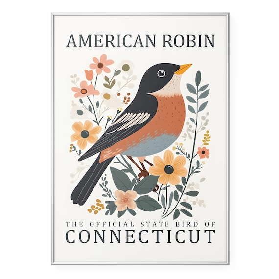 Robin Bird Wall Art Print Connecticut State Poster Vintage Wildlife Artwork Rustic Botanical Illustration Decor