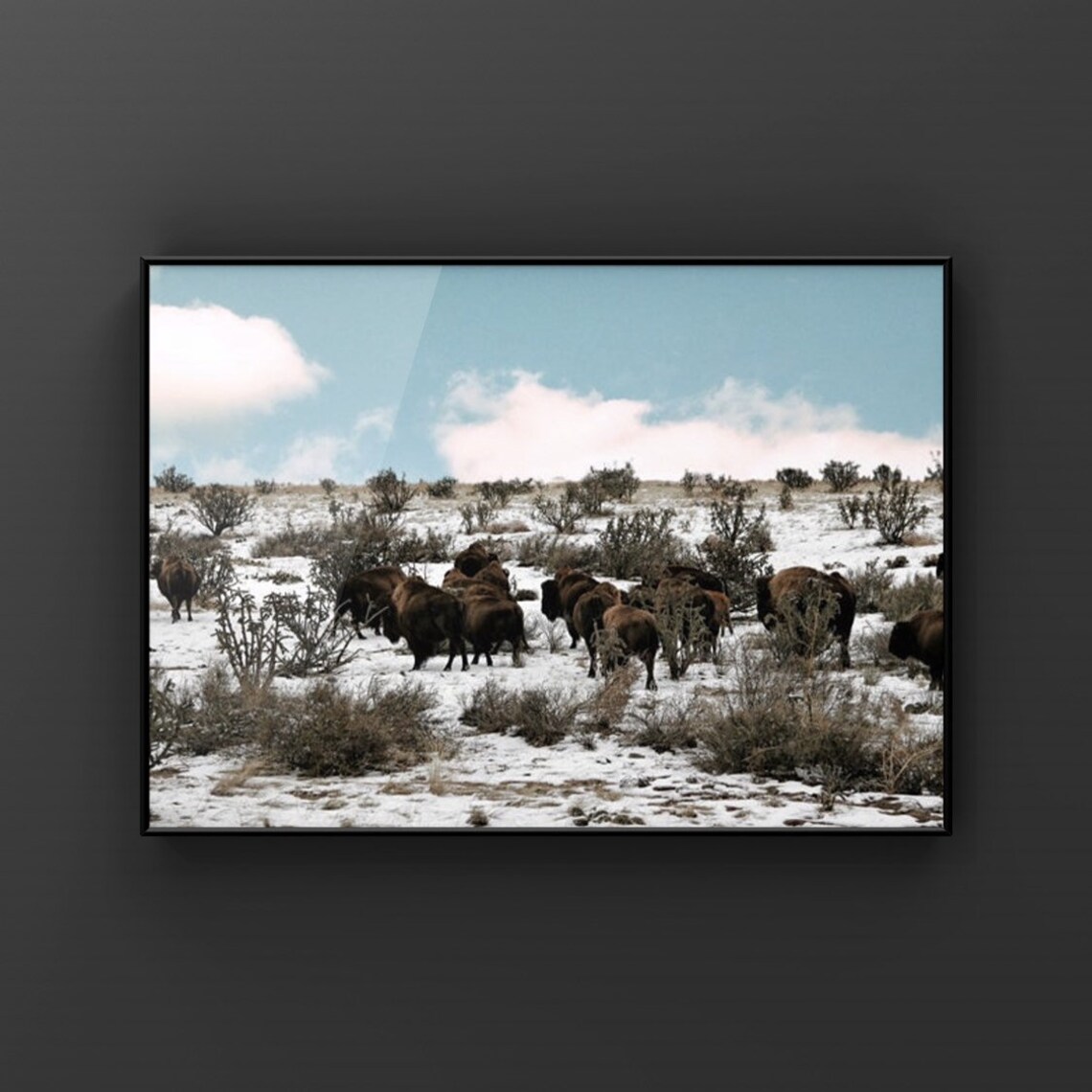 Bison Herd In Snowy Winter Prairie Fine Art Photograph Poster