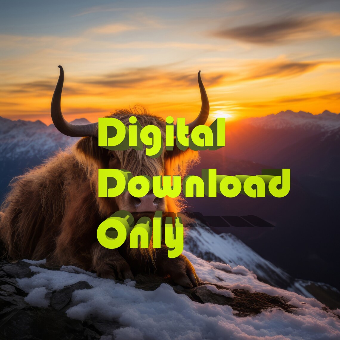 Highland Cow Poster Print, Sunset Mountain Himalaya - Image 2