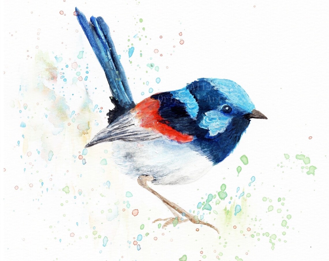 Bright Blue and Red Fairy Wren Watercolor Bird Portrait Art Poster