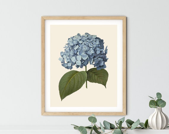 Vintage Hydrangea Print, Blue Botanical Kitchen Decor