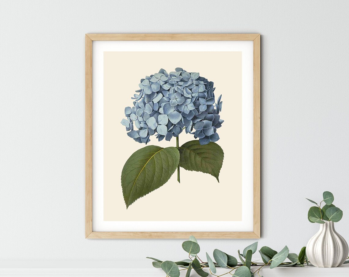Vintage Hydrangea Print, Blue Botanical Kitchen Decor