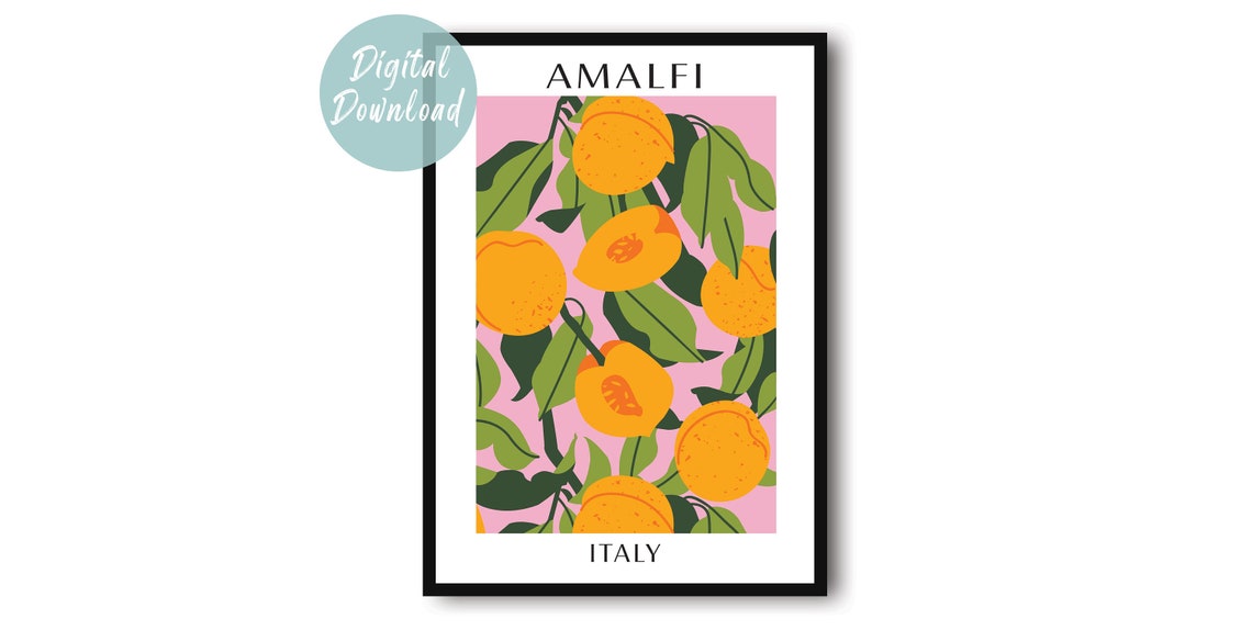 Amalfi Peaches Botanical Illustration Pink Background Poster
