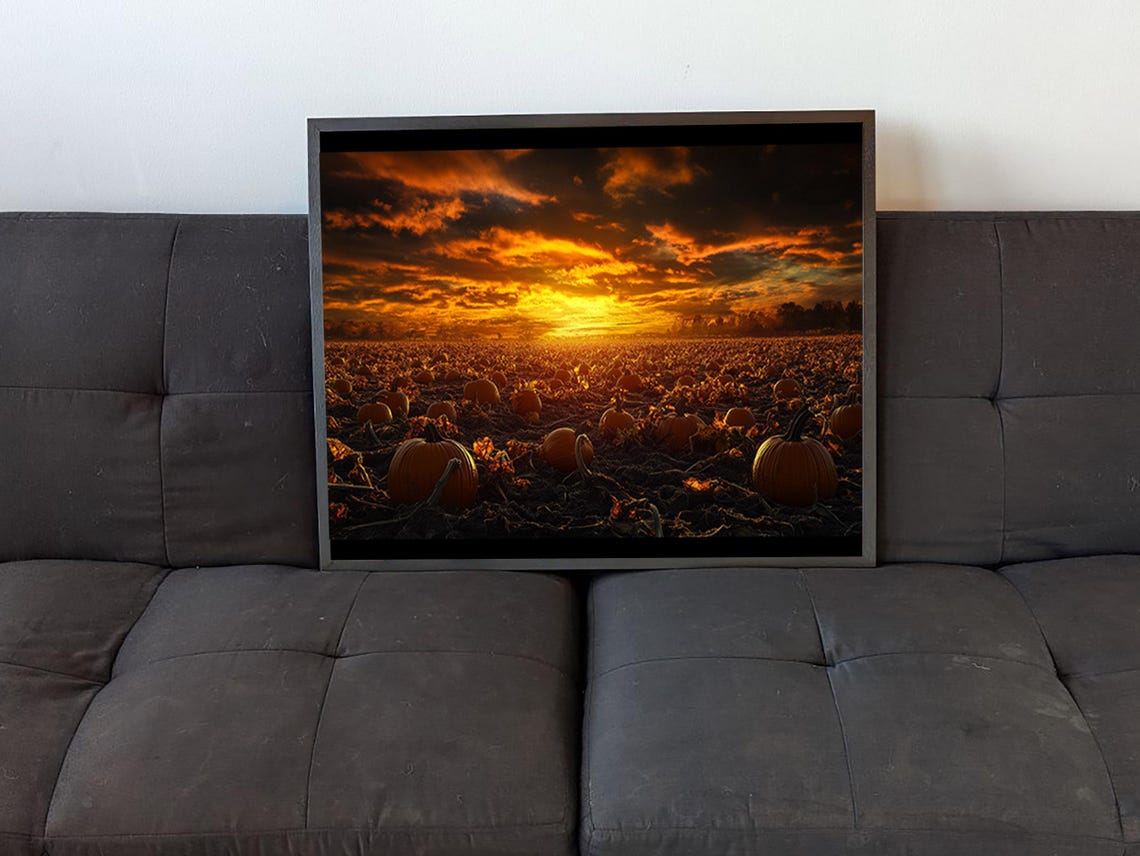 Pumpkin Patch, Rustic Autumn Art Print - Image 4