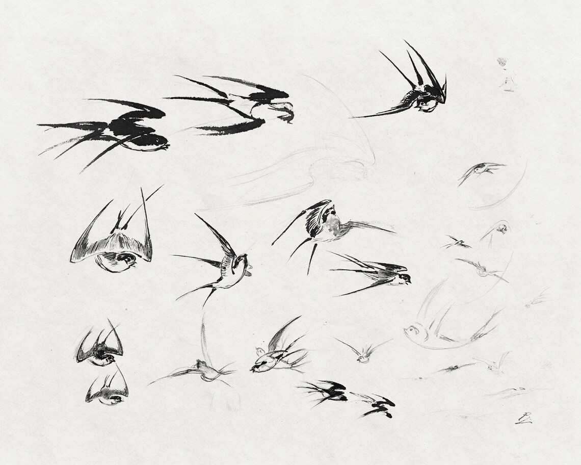 Abstract Bird Sketch Art, Vintage Minimalist Print - Image 2
